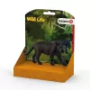 schleich WILD LIFE Pantera negra, 3 años, Jungla, Animales salvajes / Juguete de aventuras, multicolor, plástico