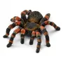 Figura Schleich WILD LIFE Tarántula
