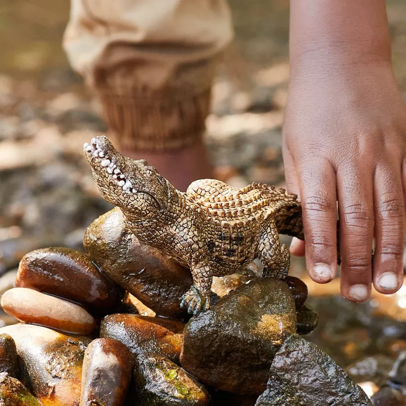 schleich WILD LIFE cocodrilo, 3 año(s), safari, animales salvajes / juguete de aventuras, multicolor, plástico, 1 ud.