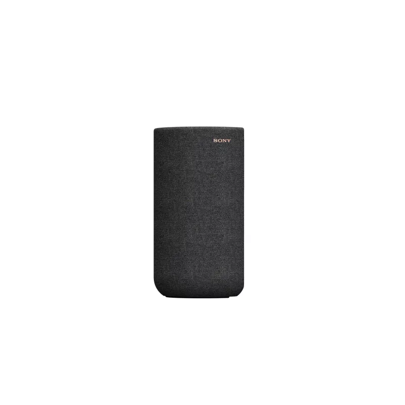 Sony SA-RS5 2 vías negro con cable e inalámbrico 180 W