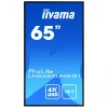 Pantalla de señalización digital IIYAMA LH6552UHS-B1 64,5 pulgadas IPS 4K 3840x2160 500 cd/m² Android 8.0 24/7 negro