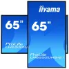 Pantalla de señalización digital IIYAMA LH6552UHS-B1 64,5 pulgadas IPS 4K 3840x2160 500 cd/m² Android 8.0 24/7 negro