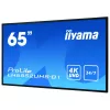 Pantalla de señalización digital IIYAMA LH6552UHS-B1 64,5 pulgadas IPS 4K 3840x2160 500 cd/m² Android 8.0 24/7 negro