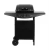 Parrilla de gas TEESA TSA0080 — 2 quemadores, parrilla portátil para exterior