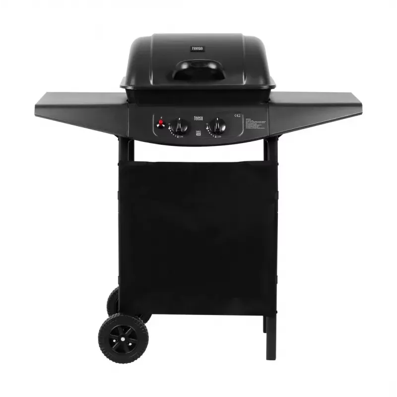 Parrilla de gas TEESA TSA0080 — 2 quemadores, parrilla portátil para exterior