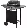 Parrilla de gas TEESA TSA0080 — 2 quemadores, parrilla portátil para exterior