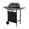 Parrilla de gas TEESA TSA0080 — 2 quemadores, parrilla portátil para exterior