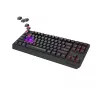 Teclado gaming GENESIS Thor 230 TKL USB + RF Wireless + Bluetooth QWERTZ negro