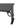 Mesa de ordenador GENESIS NDS-2250 negra