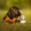 VETEXPERT RAW PALEO Puppy monoproteico bacalao 400 g, sin cereales, para cachorros, lata
