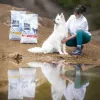 VetExpert Raw Paleo Ultra Medium & Large Adult pienso seco de pavo para perros 2 kg
