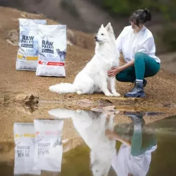 Comida seca para perros VETEXPERT RAW PALEO Ultra Medium & Large Adult Turkey — 2 kg, sin cereales, proteína 24,5 %, grasa 14 %