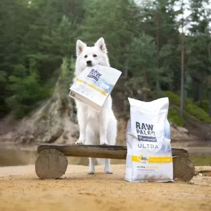 VetExpert Raw Paleo Ultra Medium & Large Adult pienso seco de pavo para perros 2 kg