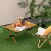 Mesa plegable PROMIS ST90 mesa turística con ruedas y portátil, paquete de una unidad