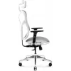 Silla de oficina ergonómica Diablo Chairs V-Basic blanca-gris – altura e inclinación ajustables, reposabrazos, soporte lumbar