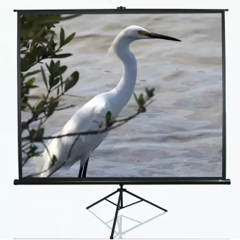 Pantalla de proyección con trípode Elite Screens T100UWV1 2,54 m (100