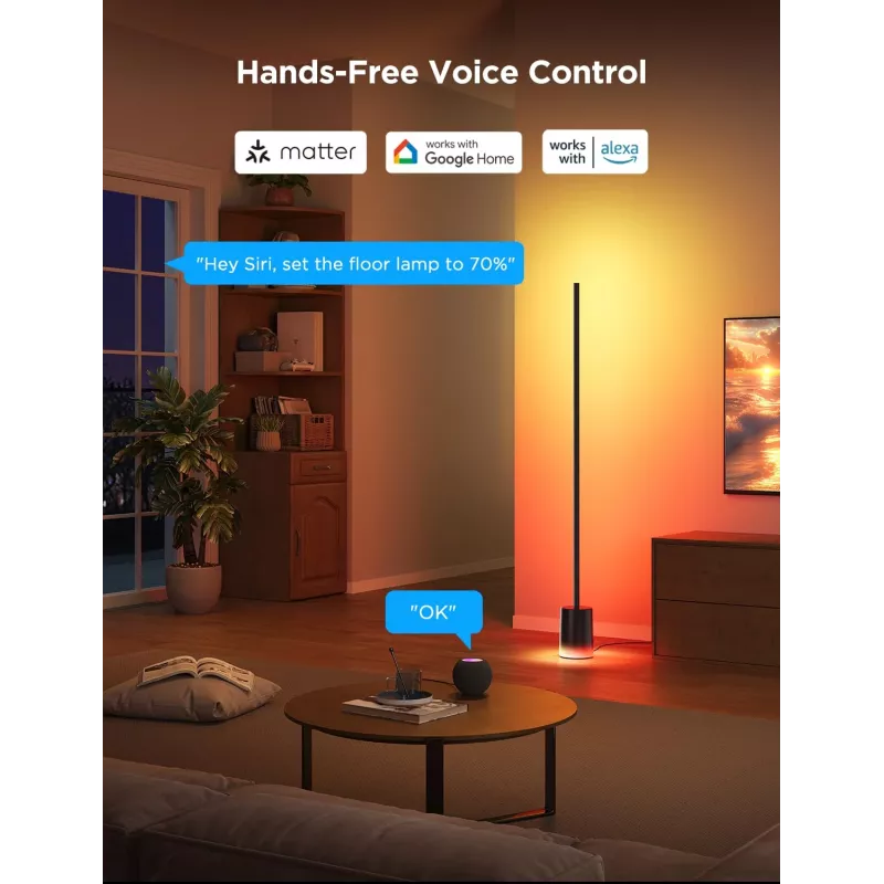 Govee Floor Lamp 2 lámpara de pie, compatible con Matter, negro