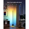 Govee Floor Lamp 2 lámpara de pie, compatible con Matter, negro