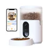 Comedero automático IMOU PF1 — tolva de acero inoxidable de 4 L, Wi‑Fi 4, batería/corriente continua, 1 cuenco