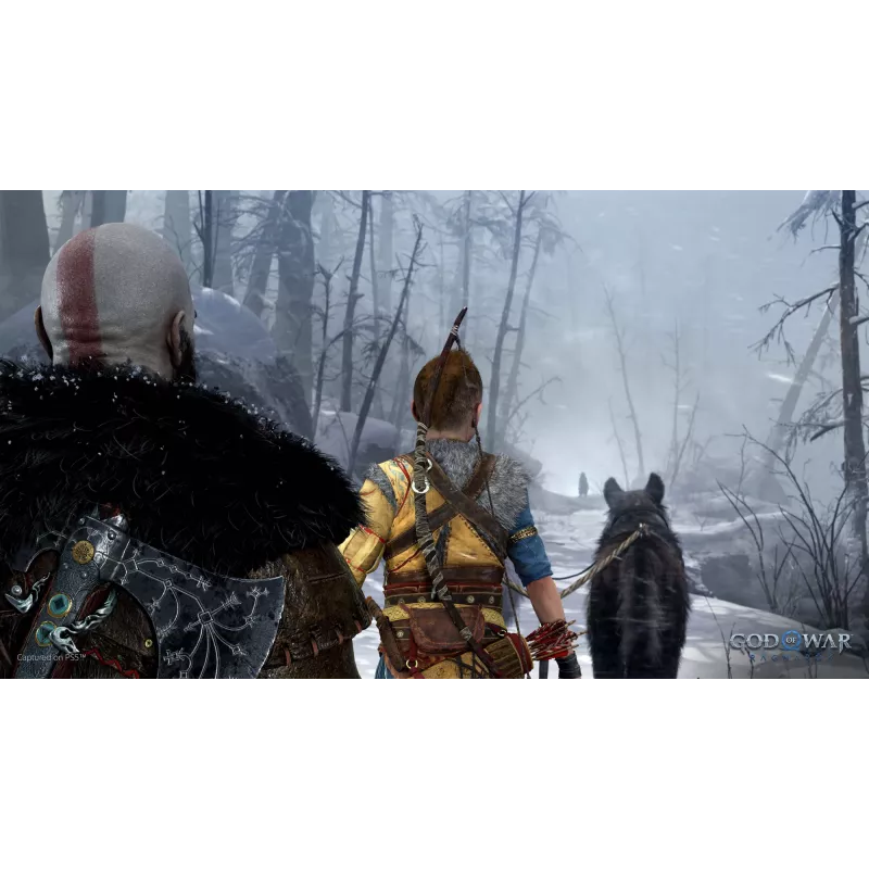 Sony God of War Ragnarök, PlayStation 5, M (Mature), soporte físico