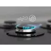 Placa de gas CGS6436BX WOK, 4 zonas de cocción, control mecánico