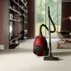 Electrolux PD82-ANIMA Aspirador cilíndrico 3,5 L En seco 600 W bolsa
