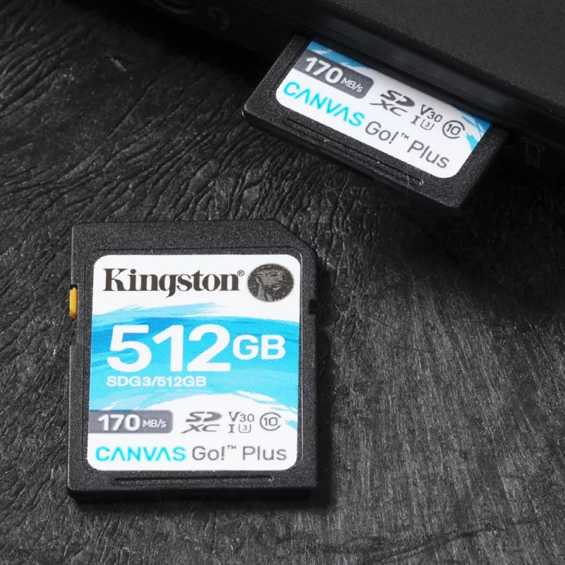 Kingston Technology Canvas Go! Plus 512GB SDXC Canvas Go Plus 170R C10 UHS-I U3 V30