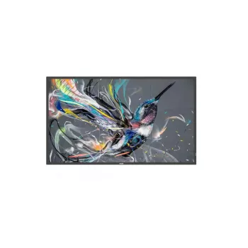 Philips Signage Solutions Q-Line pantalla digital signage 139,7 cm (55 pulgadas) IPS 400 cd/m² 4K Ultra HD negro