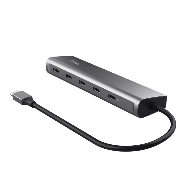Trust Halyx USB 3.2 Gen 1 (3.1 Gen 1) Type-C plata