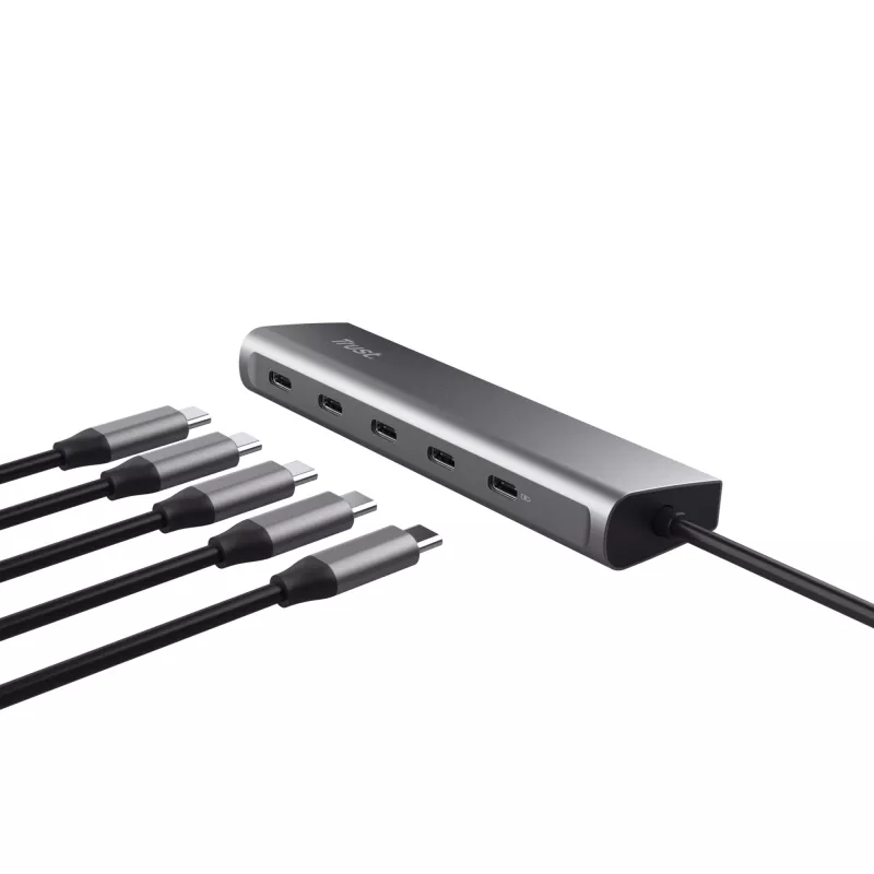 Trust Halyx USB 3.2 Gen 1 (3.1 Gen 1) Type-C plata