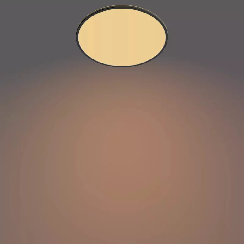 Plafón Philips Functional Super slim 36 W LED negro redondo
