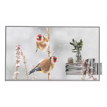 LG 55EW5P-M pantalla de señalización 139,7 cm (55 inch) OLED 600 cd/m² Full HD plata pantalla táctil 18/7