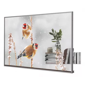 LG 55EW5P-M pantalla de señalización 139,7 cm (55 inch) OLED 600 cd/m² Full HD plata pantalla táctil 18/7