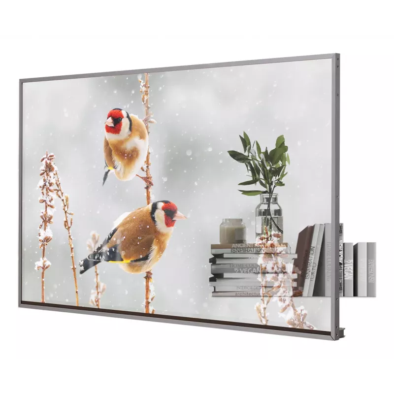 LG 55EW5P-M pantalla de señalización 139,7 cm (55