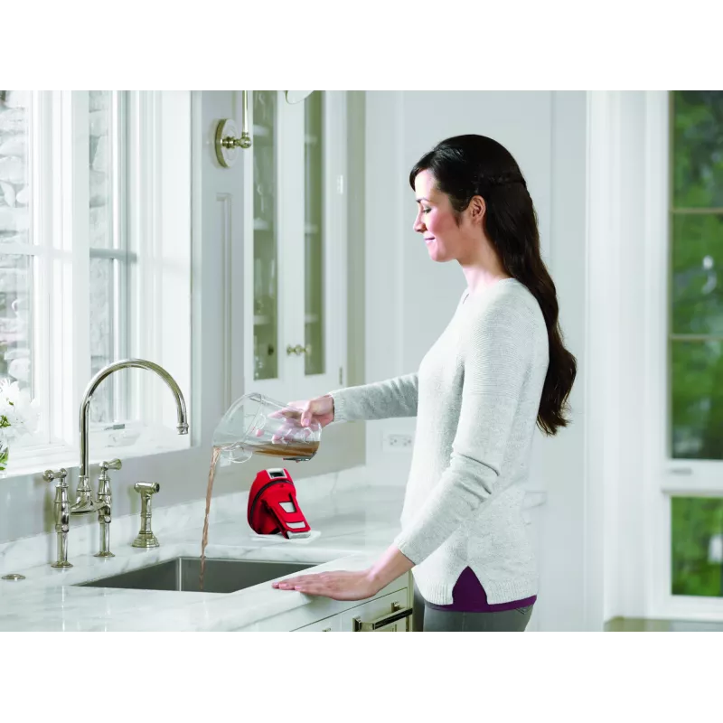 Bissell CrossWave Essential aspirador de escoba AC en húmedo y seco sin bolsa 0 L 560 W rojo, blanco