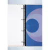 GBC Tiras de encuadernación PVC CombBind (100), blanco, policloruro de vinilo, 237 g, 100 uds., Egipto
