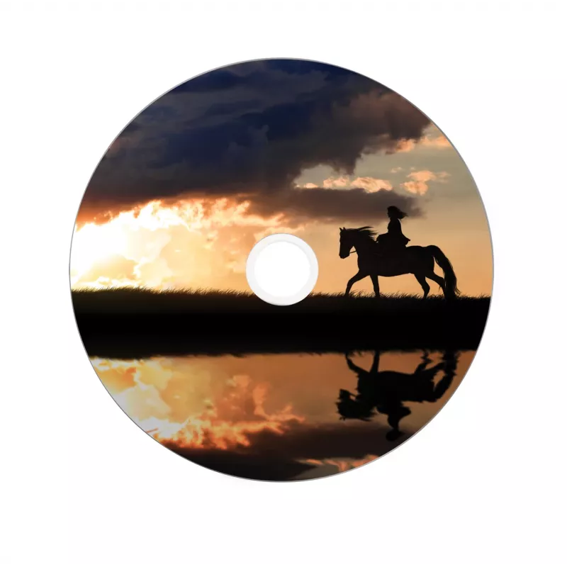 Verbatim 43667 DVD virgen 8,5 GB DVD+R DL 25 uds.