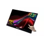 Verbatim 49593 monitor de ordenador 43,9 cm (17,3