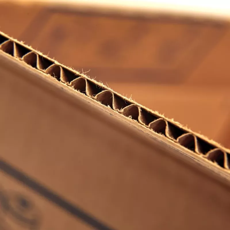 Fellowes 6203601 Caja de almacenamiento rectangular Cartón Natural