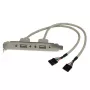 StarTech.com adaptador de placa de ranura USB A hembra de 2 puertos, 2 x IDC, 2 x USB A, 0,286 m, plateado