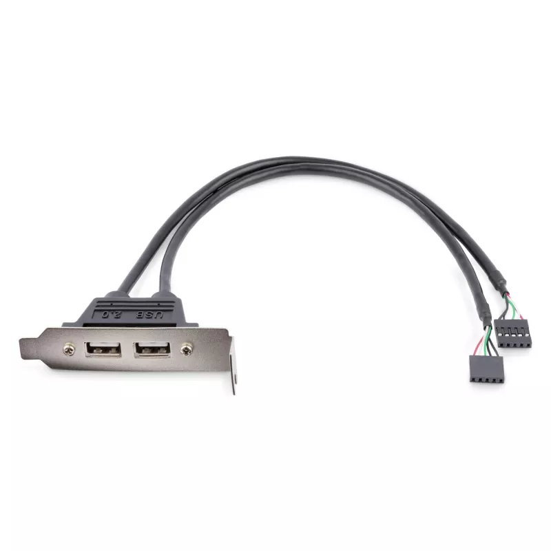 StarTech.com adaptador de placa de ranura de perfil bajo con 2 puertos USB-A hembra