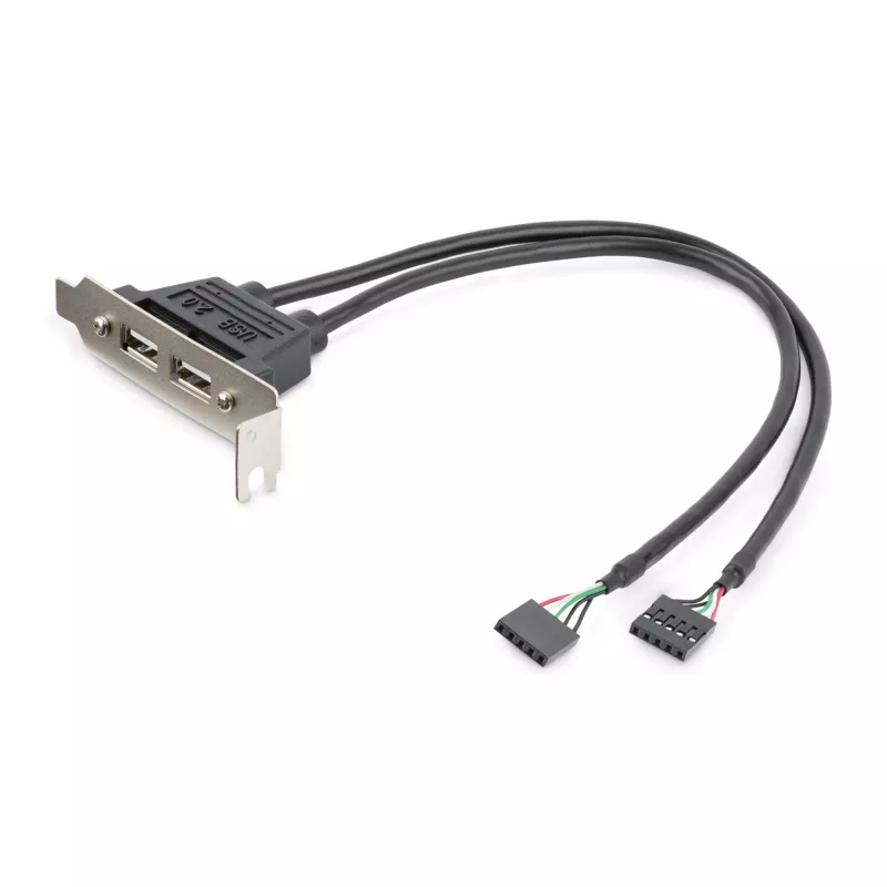 StarTech.com adaptador de placa de ranura de perfil bajo con 2 puertos USB-A hembra