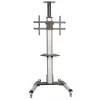 StarTech.com Carrito para TV – Altura ajustable – Ruedas con bloqueo, 40 kg, 81,3 cm (32 pulgadas), 190,5 cm (75 pulgadas), 200 x 200 mm, 600 x 400 mm, 1110 - 1510 mm