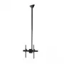 StarTech.com Soporte de techo para TV – Soporte universal de pantalla única colgante totalmente articulado con barra telescópica ajustable – Inclinación / giro – Soporte VESA para pantallas de 32 a 75 pulgadas
