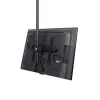 StarTech.com Soporte de techo para TV – soporte colgante universal totalmente articulado para una pantalla con mástil telescópico largo ajustable – inclinación/giro – soporte VESA para pantallas de 32