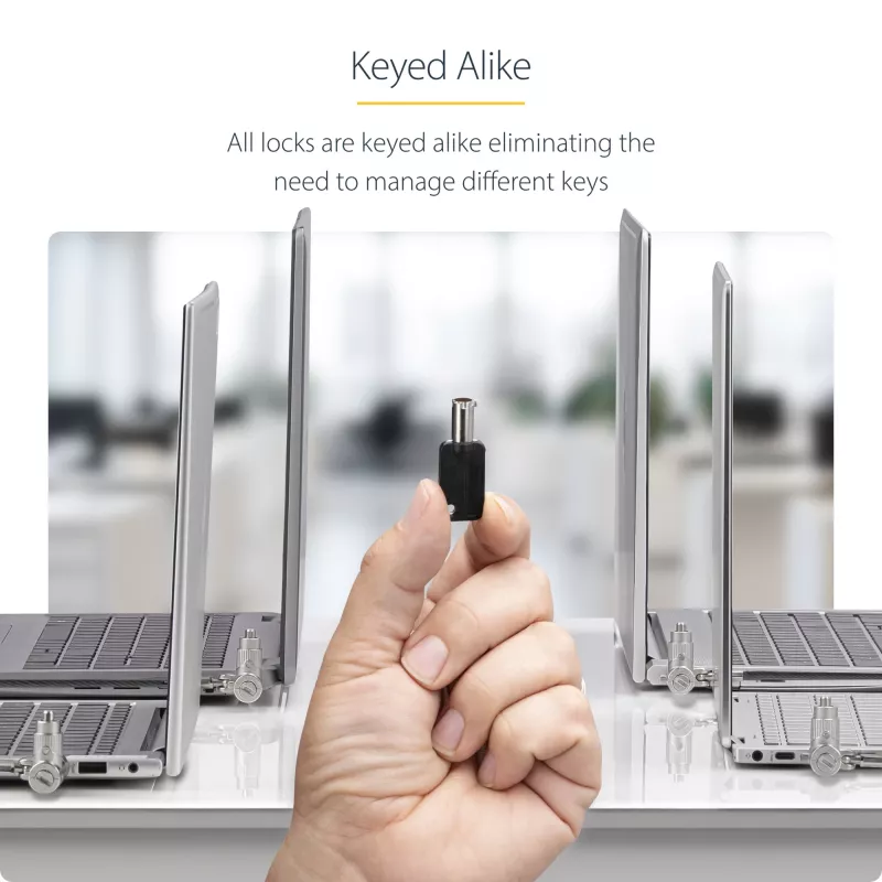 StarTech.com Pack de 25 candados universales para portátil de 2 m, apertura con la misma llave, cable de seguridad, compatible con Noble Wedge®/Nano/K-Slot, cable antirrobo resistente a cortes