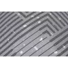 Thule Paramount TPRC130 - Plata Funda de lluvia para mochila Nylon 30 L