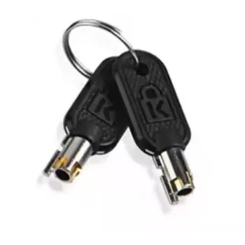 Accesorio de candado de cable con llave Lenovo 4Z10P40249 gris