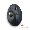 Trackball Kensington Pro Fit Ergo TB550 RF inalámbrico + Bluetooth