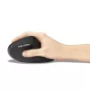 Ratón Kensington Pro Fit Ergo MY630 EQ RF inalámbrico Bluetooth USB Type-A